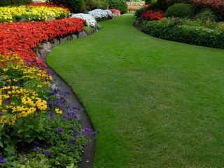 Landscaping designs