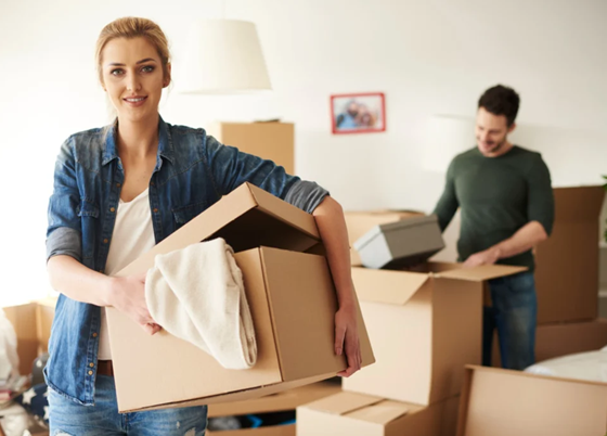 Removalist
