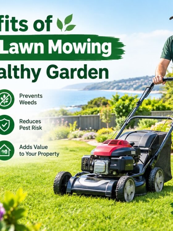 Lawn Mowing